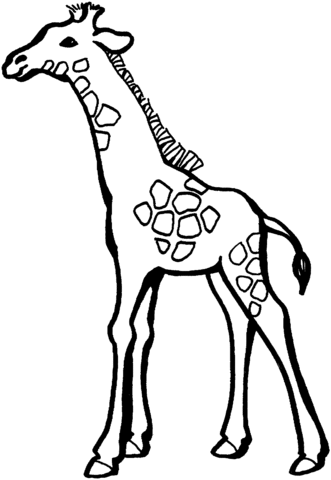 Baby Giraffe Coloring Page